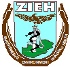 Zambia Institute of Environmental Heath