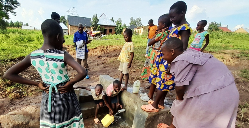 Ugandan Springs update